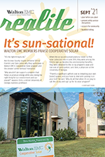 Realite Newsletter