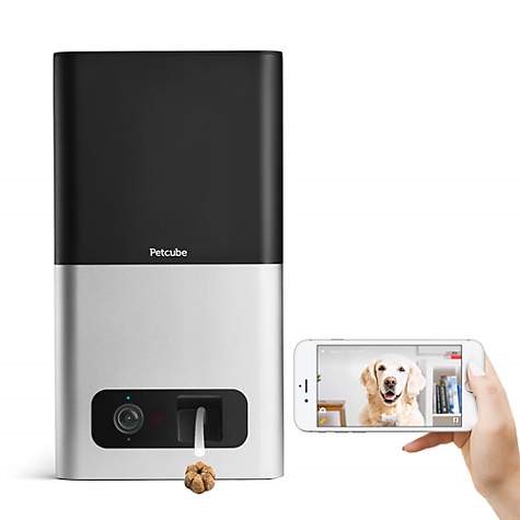 A Petcube Bites Wi-Fi Pet Camera and Treat Dispenser