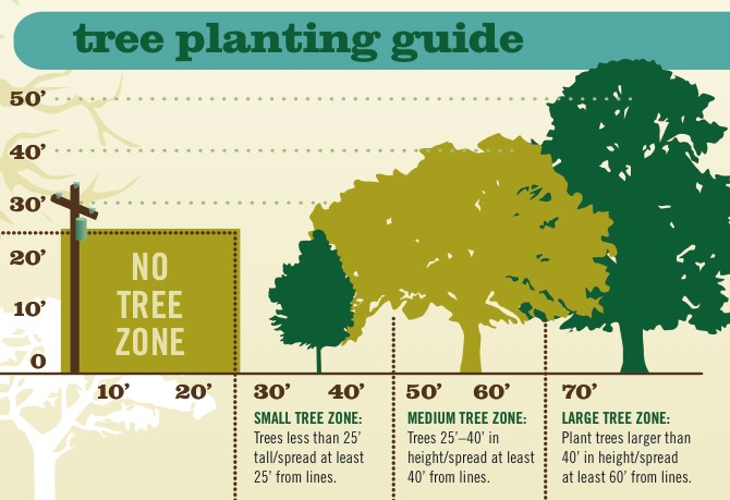 Tree Planting Guide