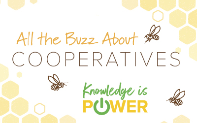 Knowledge is Power PDF Thumbnail Image