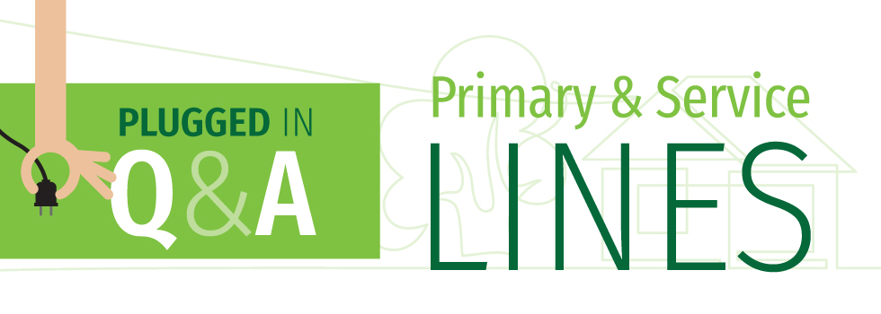 Q&A Primary Service Lines